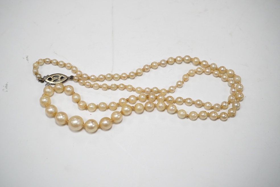 A single strand graduated cultured pearl necklace, with gem set 9ct clasp, 48cm. Condition - fair